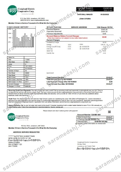 USA Craighead Electric utility bill template in Word and PDF format